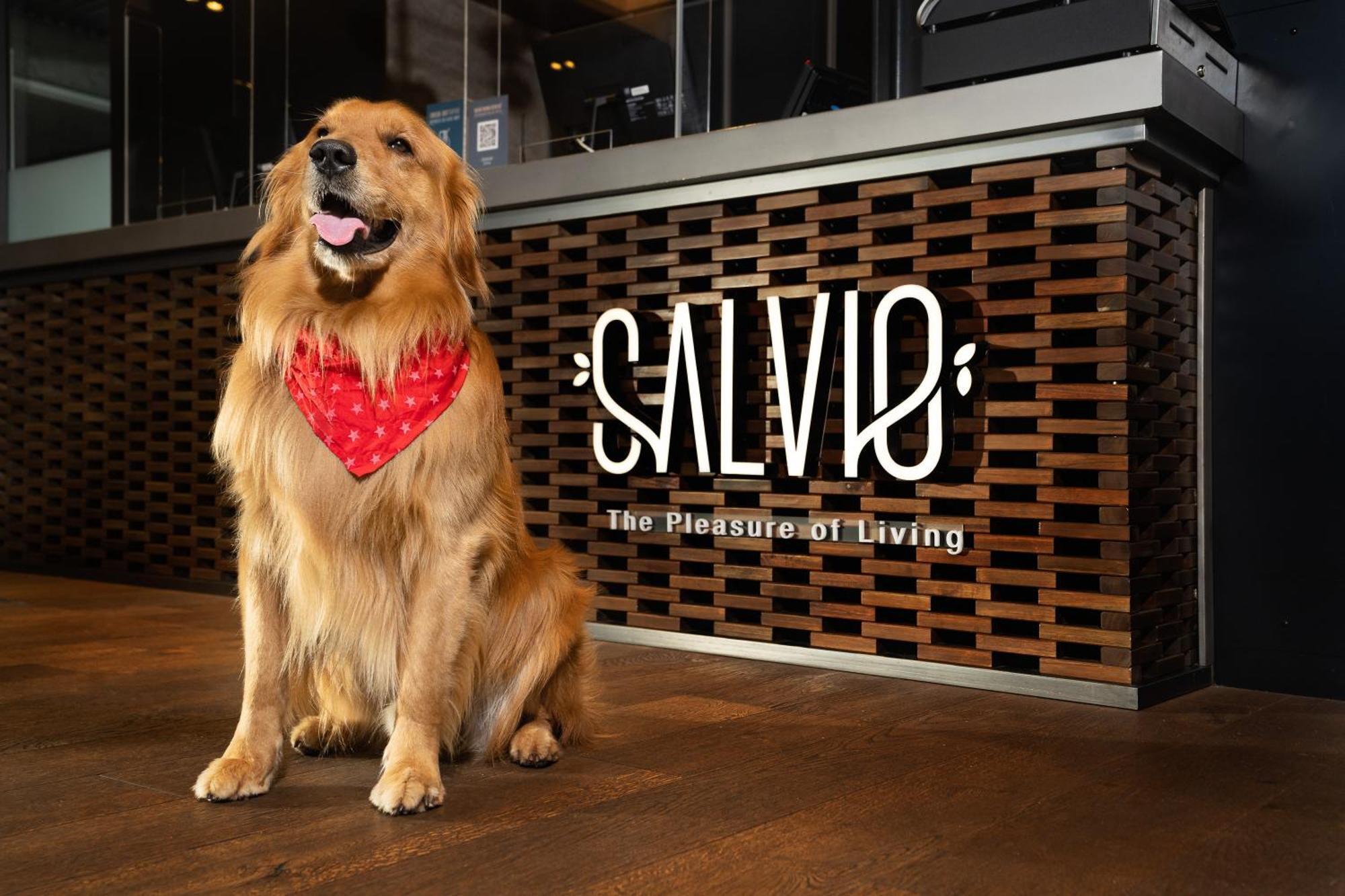 Salvio Parque 93 Bogota, Curio Collection By Hilton — Photos 1